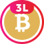 BSV3L